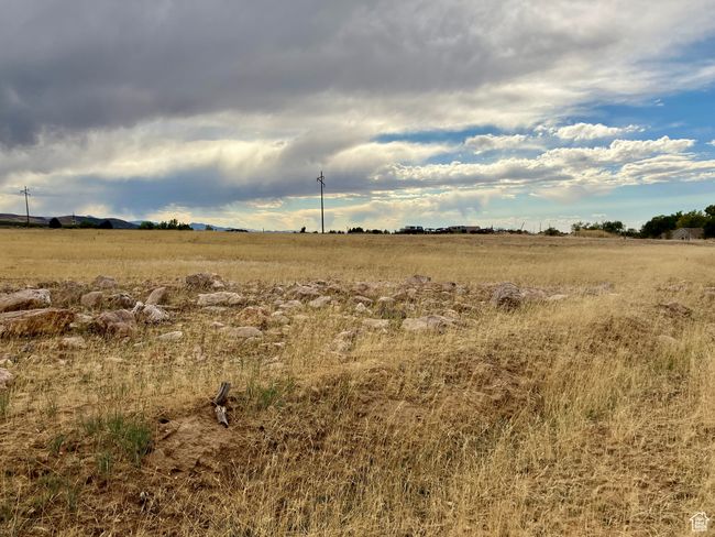 View of nature with a rural view | Image 82