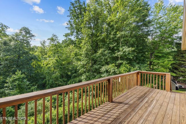 211 Timberland Trail Ln, House other with 3 bedrooms, 2 bathrooms and null parking in Rocky Top TN | Image 34