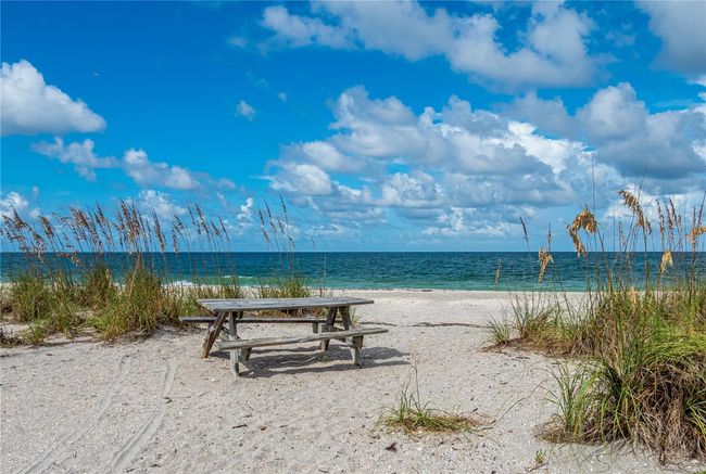 Have lunch on the beach! | Image 47