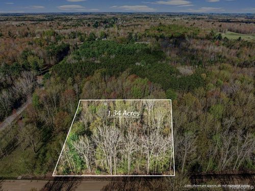 #AAA V/L Maplegrove Lane, Vassar Township, MI, 48768 | Card Image