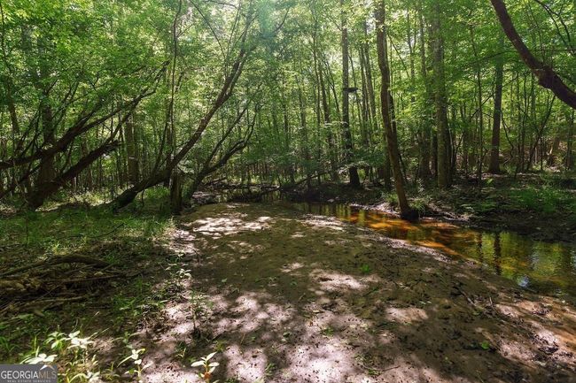 6053 Sun Hill Grange Rd, Home with 0 bedrooms, 0 bathrooms and null parking in Davisboro GA | Image 67