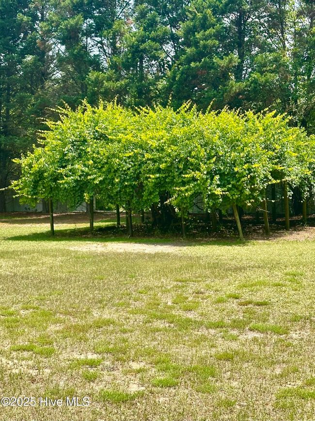 109 Conway Rd, House other with 3 bedrooms, 2 bathrooms and null parking in Fair Bluff NC | Image 19