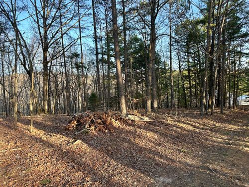 000 Brown Rd, Van Buren, MO, 63965 | Card Image