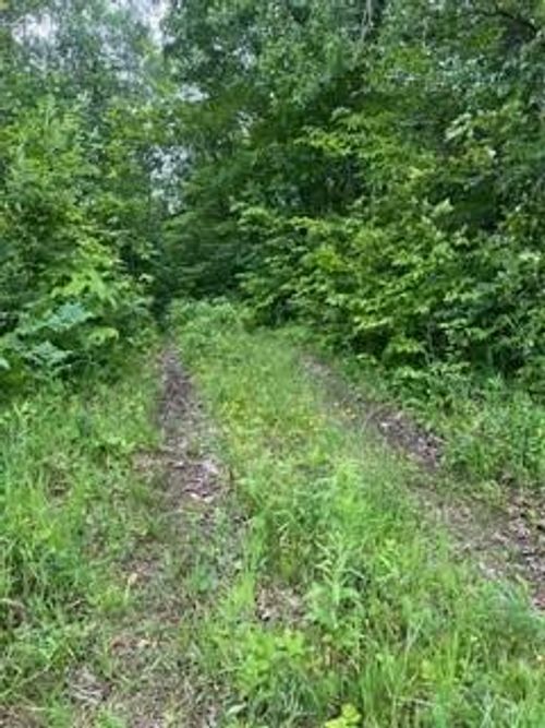 26259 County Road 26, Garrison, MN, 56450-2037 | Card Image