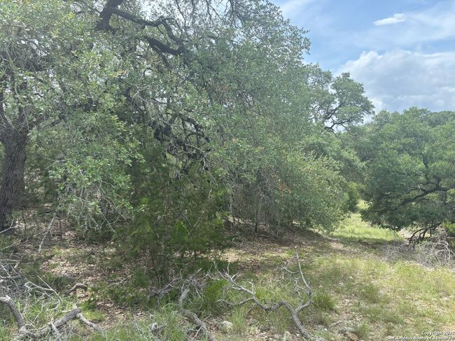 606 Lantana Mesa, Home with 0 bedrooms, 0 bathrooms and null parking in Spring Branch TX | Image 8