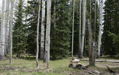 1600 Hazel Lake Drive, Cimarron, CO, 81220 | Card Image