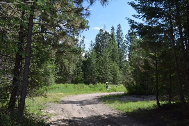 73487 Arlee Pines Dr, Home with 0 bedrooms, 0 bathrooms and null parking in Arlee MT | Image 14