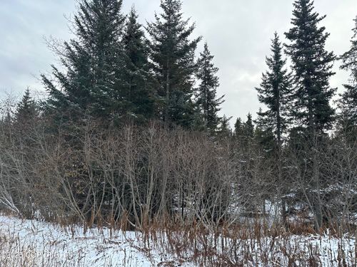 000 Old Sterling Hwy, Anchor Point, AK, 99556 | Card Image