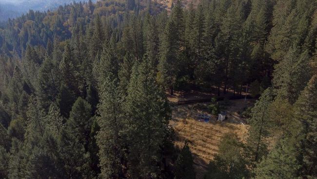 5727 Starkes Grade Rd, Home with 0 bedrooms, 0 bathrooms and null parking in Pollock Pines CA | Image 20