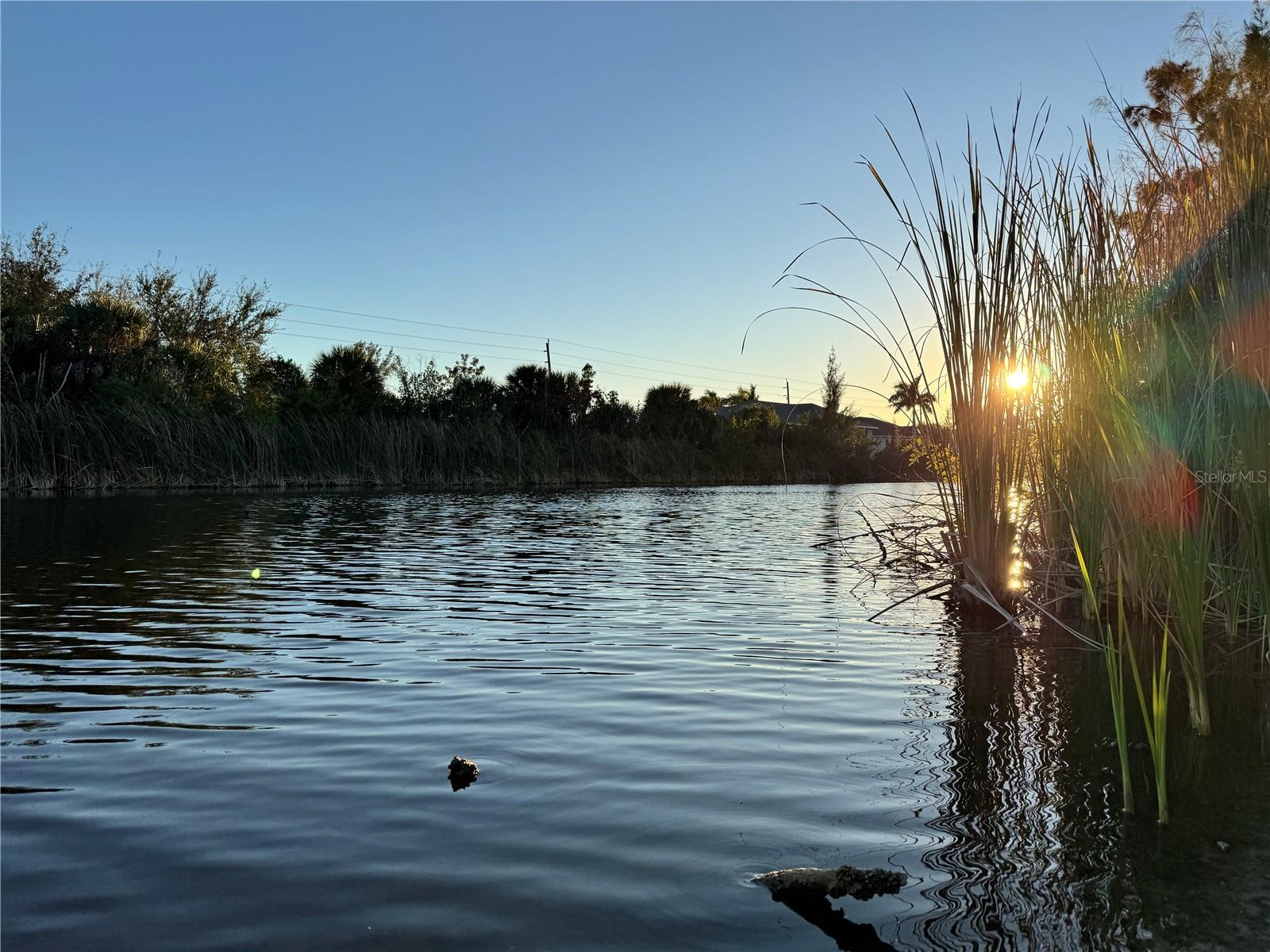 Land in PORT CHARLOTTE 3