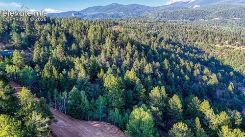 364 Blue Spruce Road, Divide, CO, 80814 | Card Image