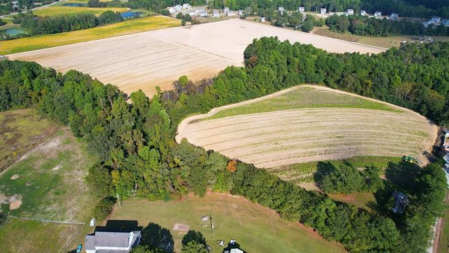 Lot continues past wooded buffer. | Image 5