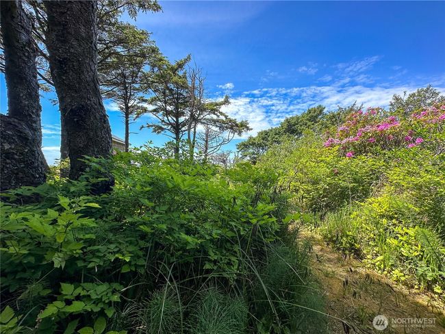 4753 Beach Ln, Home with 0 bedrooms, 0 bathrooms and null parking in Moclips WA | Image 24