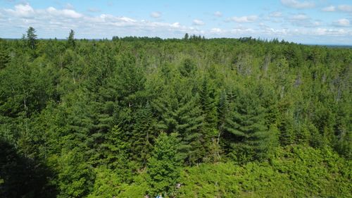 030-007 Off Cardville Road, Greenbush, ME, 04418 | Card Image