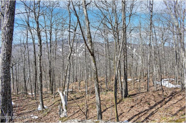 48 Durkin Rd, Home with 0 bedrooms, 0 bathrooms and null parking in North Creek NY | Image 20