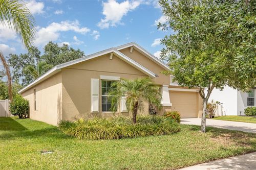 10036 Crested Fringe Dr, Riverview, FL, 33578-5317 | Card Image