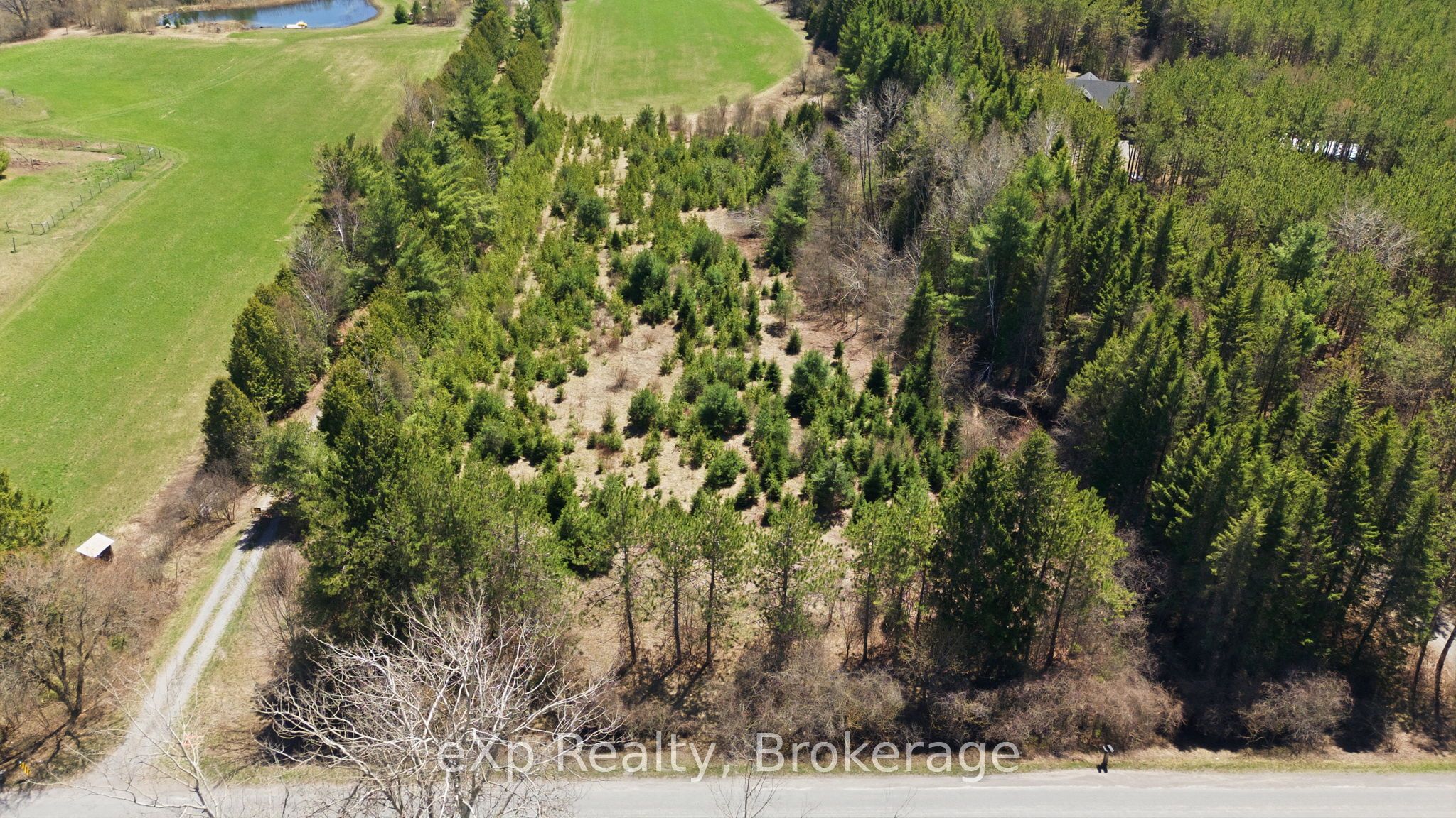 Residential in Alnwick/Haldimand 5