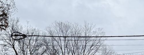 302 S Du Quoin St, Benton, IL, 62812-1424 | Card Image