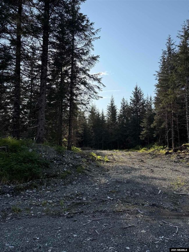 LOT-3-BLOCK-15 - 372 Cedar St., Home with 0 bedrooms, 0 bathrooms and null parking in Yakutat AK | Image 4