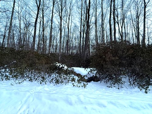 18 Flamingo Rd, Dubois, PA, 15801 | Card Image