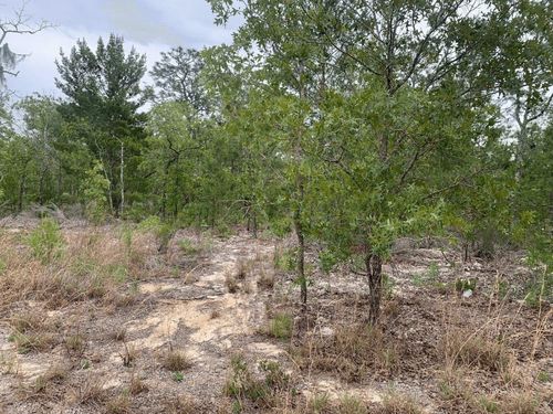 0 Grey St, Interlachen, FL, 32148 | Card Image