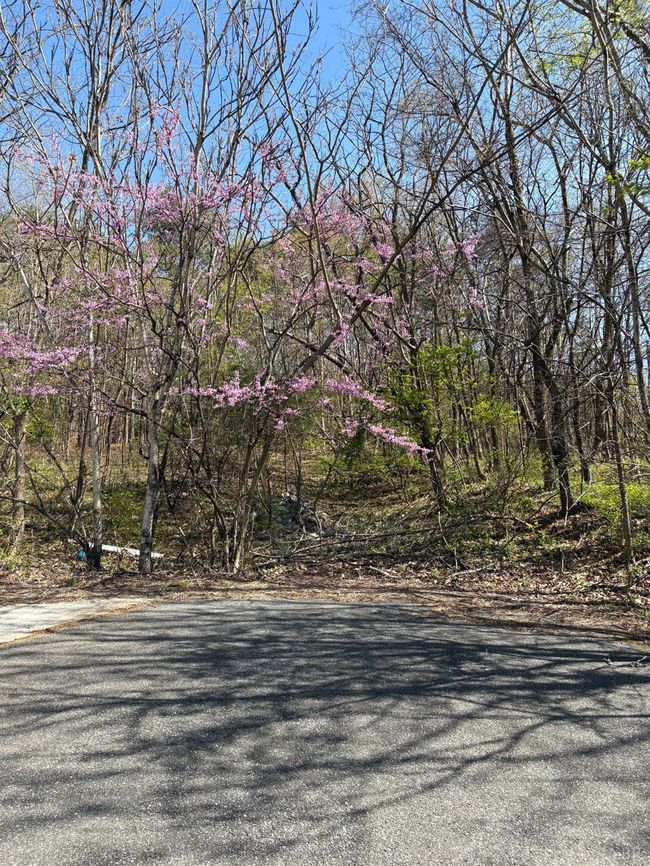 5935 Wards Rd, Home with 2 bedrooms, 1 bathrooms and null parking in Evington VA | Image 4