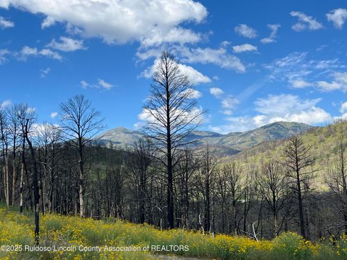 187 Telluride Trl, Ruidoso, NM, 88345-7124 | Card Image