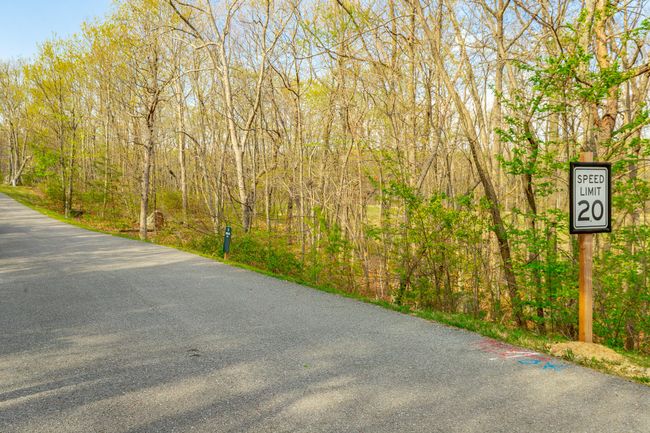 0 Old Rockey Trl, Home with 0 bedrooms, 0 bathrooms and null parking in Rising Fawn GA | Image 5