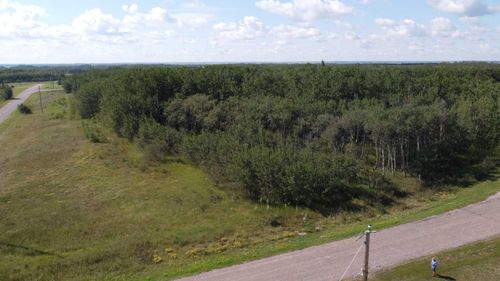 1 - 65017 Twp Rd 442b, Rural Wainwright No. 61, M.d. Of, AB, T9W1T4 | Card Image
