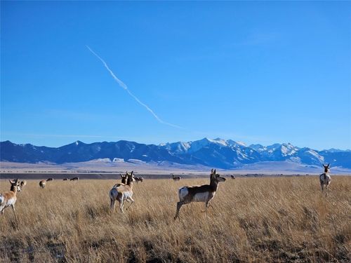 TBD Cow Camp Trl, Ennis, MT, 59729 | Card Image