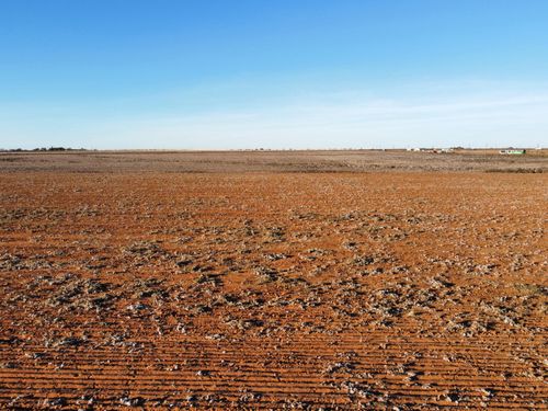 6703 Tiger Rd, Ropesville, TX, 79358-5401 | Card Image