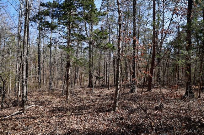 0 Golf Course Rd, Home with 0 bedrooms, 0 bathrooms and null parking in Halifax VA | Image 42
