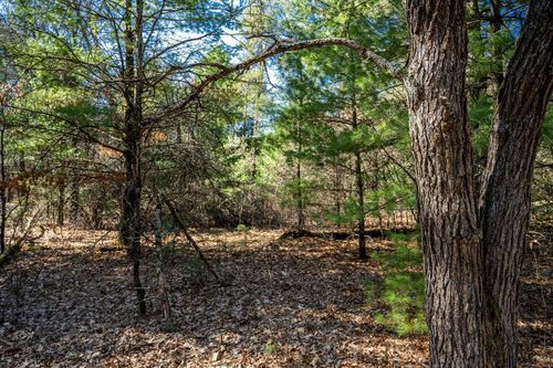 Lot 4 Morros Mile Rd, Necedah, WI, 54646 | Card Image