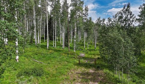 59395 Cripple Creek Ct, Clark, CO, 80428 | Card Image