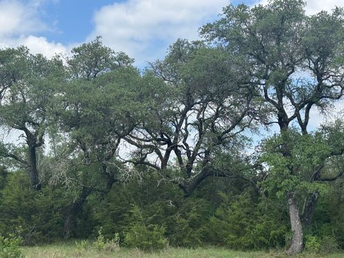 Lot 40 Maverick Way, Briggs, TX, 78608-2005 | Card Image