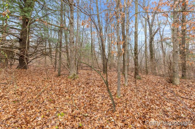 PARCEL-1 - V/L W Snows Lake Road, Home with 0 bedrooms, 0 bathrooms and null parking in Fenwick MI | Image 6