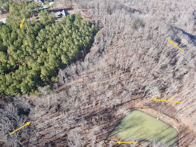 80 High Point Ln, Home with 0 bedrooms, 0 bathrooms and null parking in Jasper TN | Image 5