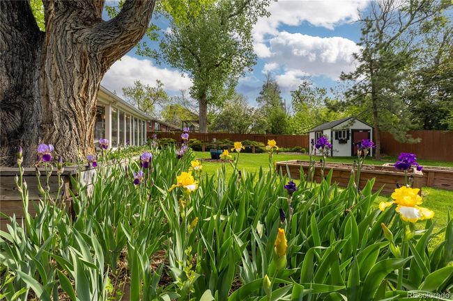8390 E Davies Pl, House other with 4 bedrooms, 3 bathrooms and 1 parking in Centennial CO | Image 40