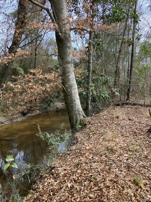 0 Graves Keys Rd., Bassfield, MS, 39421 | Card Image