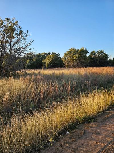 View of local wilderness | Image 3