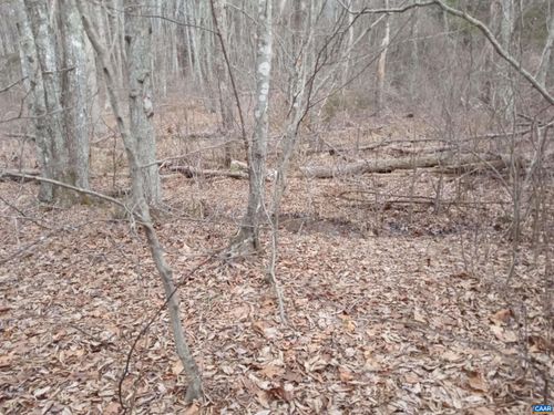 TBD Meadow Creek Rd, WINGINA, VA, 24599 | Card Image