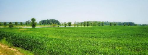 1458 Rockland Heights Road, Rockland, WI, 54115 | Card Image
