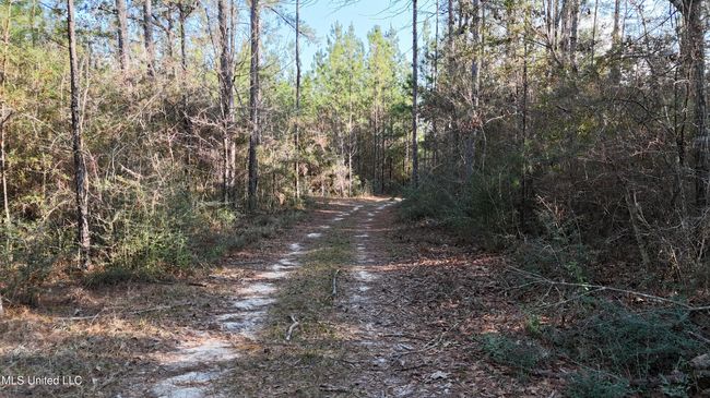 Trails 38 | Image 15