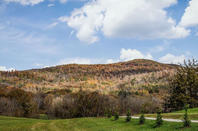2337 Cane Creek Cummingsville Rd, House other with 3 bedrooms, 2 bathrooms and 2 parking in Spencer TN | Image 34