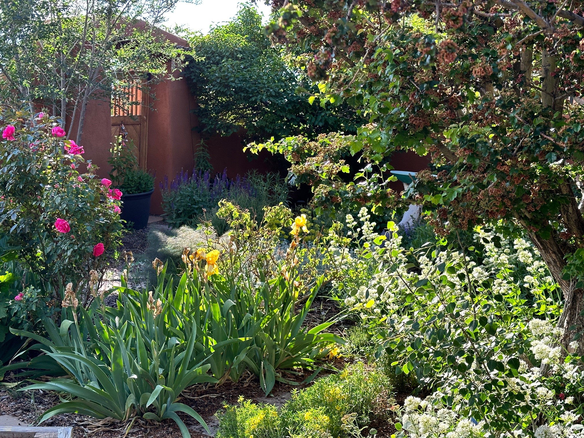 Avila Rd, Santa Fe, NM 87508