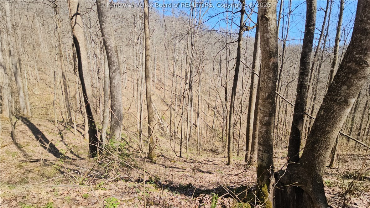 Land in Clendenin 5