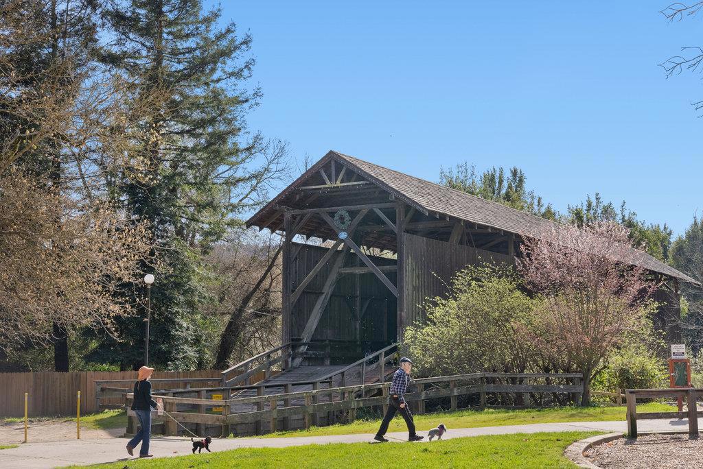 Commercial Sale in Felton 5