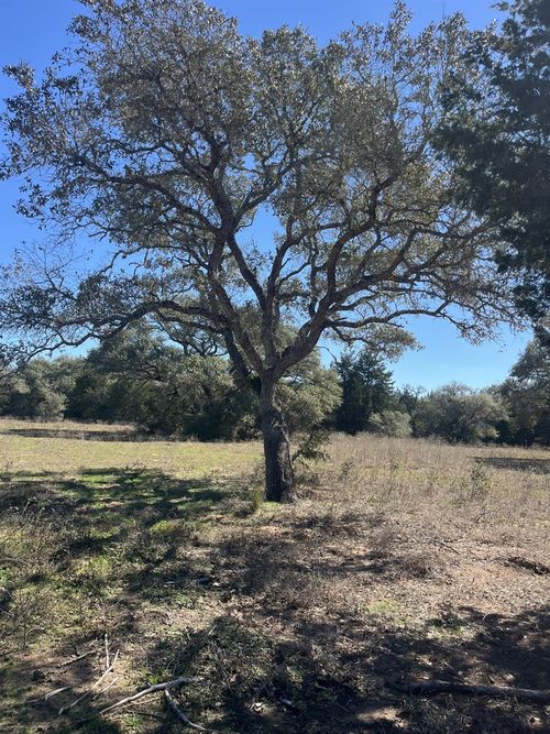 1165 Cr 213 Tract 2, Weimar, TX, 78962 | Card Image