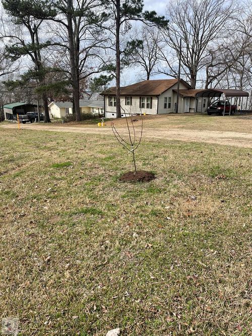 114 Lakefork, Saratoga, AR, 71859 | Card Image