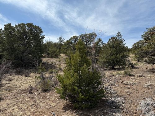673 Hidden Valley Rd, South Fork, CO, 81154 | Card Image